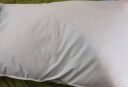 斯诺曼枕头 五星级酒店舒适枕头 纯棉贡缎面料羽毛枕芯 白色 74*48cm 实拍图