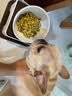 日式宠物狗狗猫斜口防滑陶瓷食盆架法斗碗狗碗食盆大号大型犬用品 L-白色碗黑垫餐桌套装 实拍图