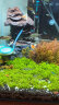 宠翰 石英纳米细菌屋10支 水族底滤石英纳米硝化细菌屋鱼缸净水过滤材料 晒单实拍图