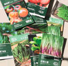 花沃里卵圆茄100粒/包蔬菜种子四季蔬菜种籽速成菜阳台盆栽庭院田间种 实拍图