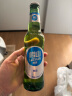 青岛啤酒崂山啤酒经典小瓶装316ml*24瓶整箱装 晒单实拍图