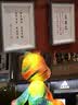 闪迪相机专用储存卡 SD卡 摄像内存卡 适用佳能r100 r50 r10 r7 r8 rp r6 r5 r6二代 200D 90D 6d2 5d4 64GB 140MB/S至尊高速卡 相机伴侣 实拍图