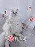 喵招喵招猫零食鸡肉冻干零食猫粮宠物羊奶鸡脖鸡胸肉鸭肉纯肉猫咪饼干 化毛鸡肉饼60g1包 实拍图