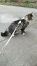 欢宠网猫咪牵引绳猫绳宠物防挣脱可调松紧背心式专用溜遛猫绳子外出用品 实拍图