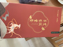 海氏海诺卓护艾灸坐垫电热无烟灸仪艾绒加热坐垫凳椅艾蒲团熏蒸家用温灸仪 实拍图