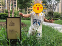 G.duck小黄鸭夏装男童背心套装小童宝宝夏天衣服儿童无袖短裤夏季两件套 杏色叮当猫（一套) 100 码（身高85-95cm） 实拍图