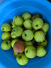 京鲜生 新疆特级库尔勒香梨 2.5kg 单果120g以上 生鲜水果 晒单实拍图