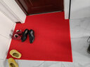 冰禹 BYlj-140 防滑拉丝圈地垫喷丝门垫 塑料防尘车间丝圈地毯 红色 宽1.2米*厚17mm*长1米（要几米拍几） 实拍图