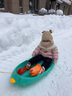 巧巧兔滑雪板儿童玩具男女孩下雪橇滑草板装备雪爬犁户外打玩雪工具套装 实拍图