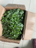 旷古农业艾草新鲜 艾草叶嫩艾蒿 青团蒿子粑粑清明果蔬菜食材 健康轻食 3斤 实拍图