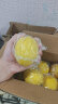 城南堡花四川安岳黄柠檬 可切柠檬片 新鲜水果可泡茶泡水喝 5斤大果（单果150g起） 晒单实拍图