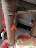 派可为剑麻绳猫抓板宽度麻绳猫用猫爬架粗麻绳手工编织绳DIY  黄麻绳  100米 实拍图