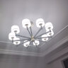 雷士（NVC） 欧式现代简约客厅灯具卧室餐厅大气吊灯灯饰套餐 路易斯 10头 100瓦LED 智能吊灯 晒单实拍图