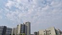 影仕匠桌面手机三脚支架补光灯手机夹转接头手持拍照居家网剧神器 延长杆三脚架+运动相机转接头 实拍图