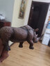 玛奇乐（MECHILE）仿真远古史前动物模型玩具冰河世纪猛犸象剑齿虎长毛犀牛长毛象 长毛犀牛 实拍图
