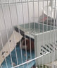 嘉蚁 兔子笼家用特大号别墅加密兔笼子兔窝仓鼠荷兰猪豚鼠松鼠宠 白色款 【养兔豪配】特大号60*42*40 实拍图
