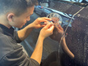 膜小二（MOXIAOER）隐形车衣膜全车身膜TPU材质防刮蹭透明膜车衣漆面保护膜包施工 晒单实拍图
