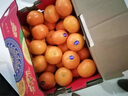 玫栀 【顺丰速运】甜弯弯沃柑爆甜橘子桔子现摘桔茂谷柑易剥 大果礼盒装 10斤 实拍图