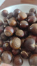 鲜合作（XIANHEZUO）【顺丰发货】2025年现摘福建特产建瓯高山锥栗圆尖油栗子新鲜板栗 实拍图