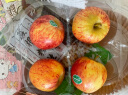 京鲜生新西兰皇家姬娜小苹果4粒 加力果小甜心 单果120g起 生鲜水果 实拍图
