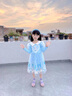 蓓然美爱莎公主裙秋装2025艾莎网纱裙女童连衣裙儿童聚会服生日礼物 蓝裙+披纱 120码 实拍图