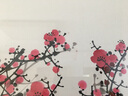 迅典梅花手绘国画中式梅开五福客厅装饰画喜上眉梢挂画沙发背景墙字画 梅开五福 实木带框83*163厘米 实拍图