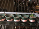和则兴（hezexing） 不锈钢阳台花架悬挂式花盆挂架护栏多肉栏杆花架室内窗台收纳架 不锈钢磨砂黑100*25*13 实拍图