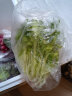 绿食者 新鲜苦菊250g 苦细叶 苦叶生菜 苦苣蔬菜沙拉健康轻食食材 实拍图