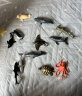 木丁丁海洋动物模型儿童仿真海豚鲸鱼鲨鱼虎鲸鱼类塑胶模型防水耐玩 海洋动物12款套装 晒单实拍图