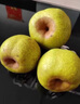 【顺丰】莱阳慈梨 山东烟台莱阳茌梨特产贡梨脆甜梨子 新鲜水果 【精品礼盒】10个特大果 约9斤 照旺庄百年老梨树 实拍图