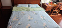 百丽丝水星家纺出品床上四件套纯棉100%全棉四件套床品被套床单套件1.5m床 实拍图