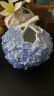 RoyalCopenhagen【结婚礼物】【檀健次同款】皇家哥本哈根花之礼赞绣球花瓶摆件 花之礼赞-粉蓝色绣球花瓶 晒单实拍图