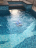 HaiPool游泳池 水上乐园景观池发绿变色水处理 环保型除藻剂950ml*1瓶 晒单实拍图