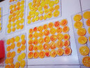 英臣干果机水果烘干机食品商用大型食物风干机家用小型蔬菜烘干箱脱水机宠物肉类药材零食不锈钢可视门旋转 6层旋钮款 实拍图