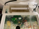 森森（SUNSUN） 鱼缸水族箱金鱼缸带灯鱼缸过滤器玻璃鱼缸桌面鱼缸 抹茶绿 HR-230+造景一（带18件） 实拍图