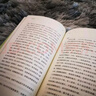 人生忽醒（茅盾文学奖、鲁迅文学奖、中国好书奖获奖作家的人生成长书，随机赠梁衡亲签藏书票一张） 实拍图