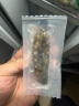 宫壹大连即食海参 500g9-15只 家装 底播刺参 鲜活海参加工 免泡发 实拍图