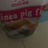 洁西（JESSIE） 荷兰猪粮 豚猪鼠饲料 天竺鼠主粮 豚鼠粮 2.5KG 实拍图