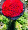 梦馨鲜花鲜花速递99朵红玫瑰花束玫瑰生日求婚礼物全国同城配送 99朵红玫瑰花束-梦幻白纱 实拍图