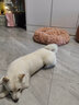 坏小宠网红猫窝冬季保暖四季通用狗窝猫屋猫床凉席夏季狗窝小型犬幼犬狗 蜜桃粉L号（15斤猫咪/13斤狗狗） 实拍图