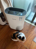 霍尼韦尔（Honeywell）宠物猫用空气净化器 吸猫毛净化器 过滤空气毛发过敏源 去除甲醛灰尘 家用室内净化器KJ250F-J11W 净化器 实拍图