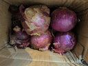 中鲜生 云南紫皮洋葱现挖红皮洋葱新鲜蔬菜生鲜当季新鲜洋葱 5斤装【普通装】 实拍图