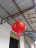新新精艺大红灯笼2个装元旦新年装饰春节大门阳台户外商场宫灯100# 实拍图