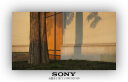 Sony索尼二手微单相机nex- 5C 5R 5N 5T 微单相机新手旅游 9新 索尼NEX-5N 标准套机含16-50 9成新 晒单实拍图