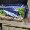 森森（SUNSUN）龙鱼缸加热棒自动恒温变频省电加温棒水族箱加温器 急速加热【100W变频省电】推荐30-60L水用 实拍图