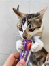 顽皮（Wanpy）猫条猫咪零食欧一吸猫条成猫幼猫湿粮包猫咪流质零食布丁 五种口味共25条装 实拍图