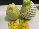京喜加【送酸梅粉】福建白心芭乐 番石榴 可做拌水果 京东快递 2颗大果 带箱 实拍图