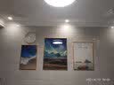好久不见客厅装饰画现代简约沙发背景墙壁画轻奢大气四联组合挂画 海阔天空(含挂钟) 中组合(建议2.5-3米墙)金属金框 实拍图