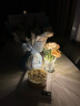 巧丂led香槟玫瑰小夜灯创意装饰摆件台灯女生生日礼物礼品卧室床头灯 香槟玫瑰（玻璃花瓶+无极调光） 晒单实拍图