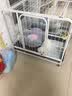 蔻丝狗笼子小型犬中型犬室内家用带厕所分离折叠免安装狗笼子柯基柴犬 加粗特厚方管【62*46*52】柯基  实拍图